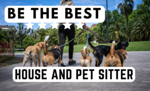 House and Pet Sitting Pet Sitter