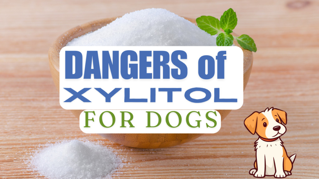 DANGERS xylitol