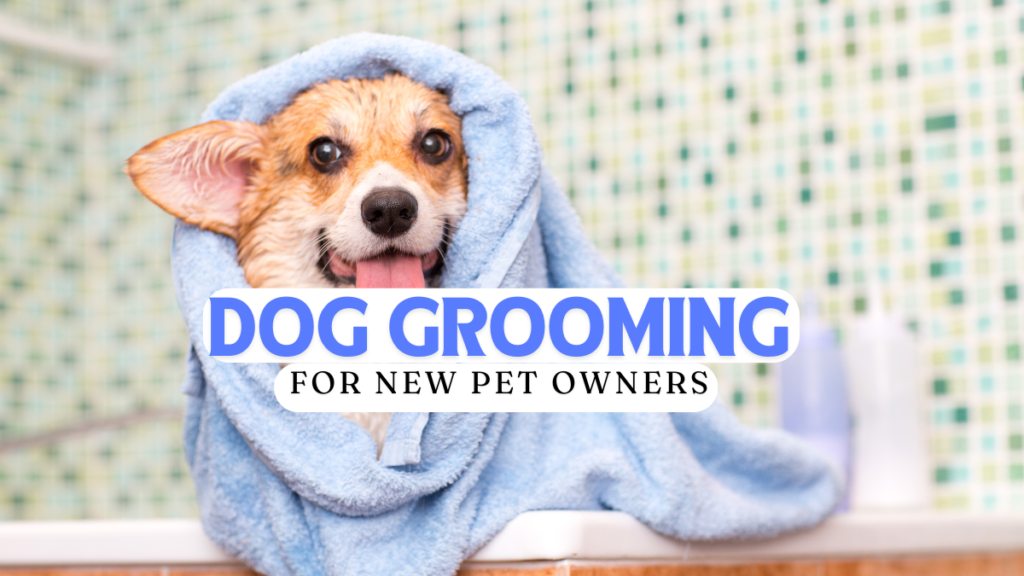 Dog GROOMING