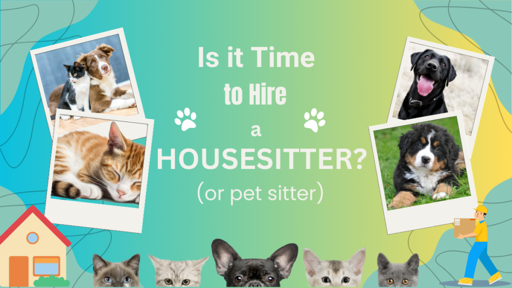 House sitter