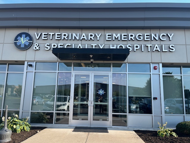 Veterinary Emergency Hospital