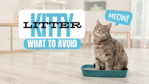 Kitty litter