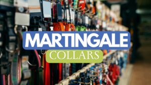 Martingale Collars