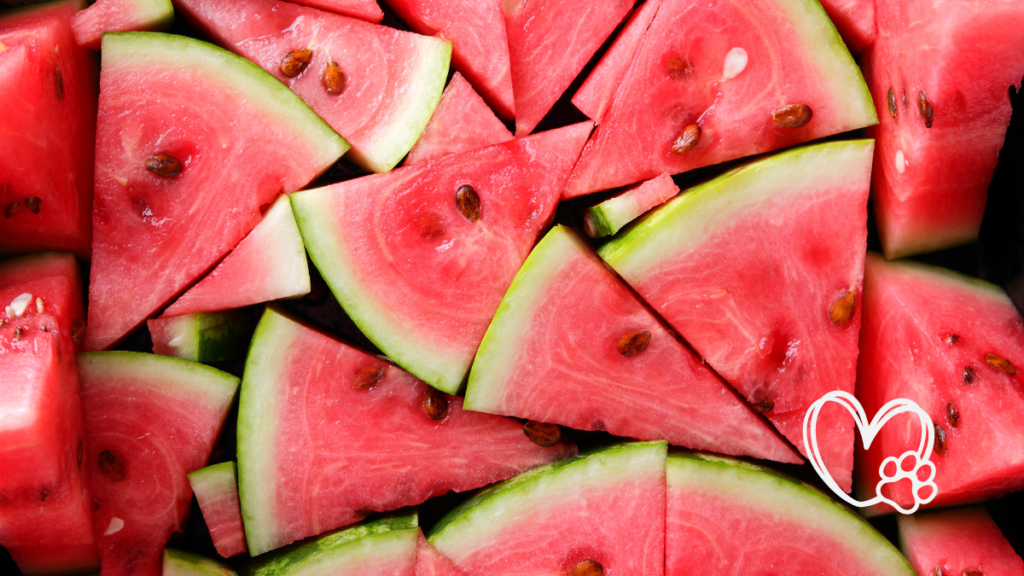 Watermelon Dog Treat