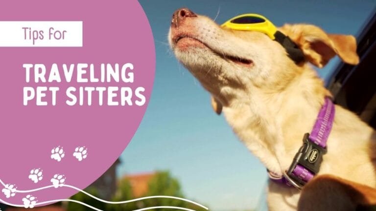 traveling Pet Sitters