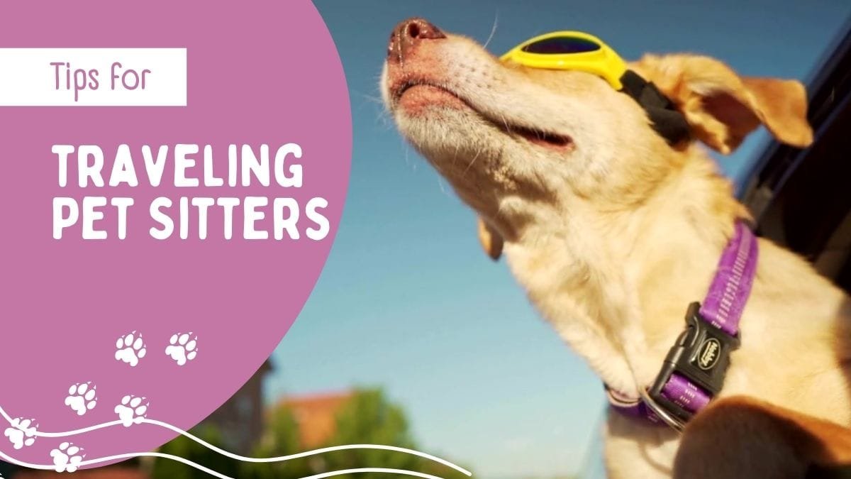 traveling Pet Sitters