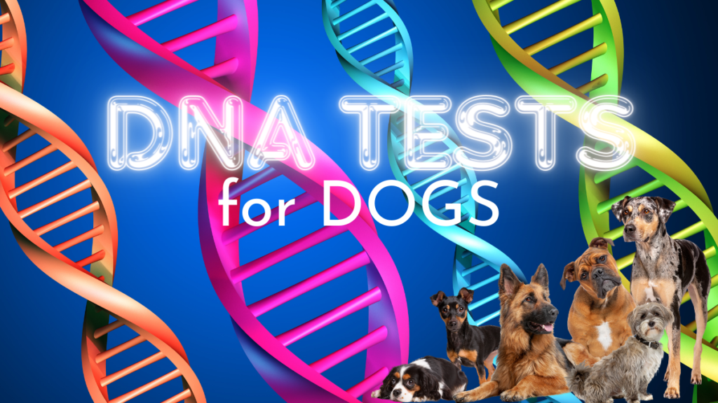 Dog DNA