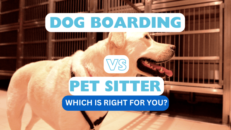Dog Boarding Boarding your dog