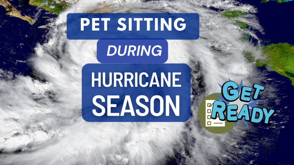 Hurricane Pet sitting