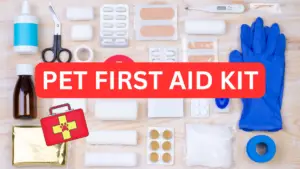 Pet First Aid Kit