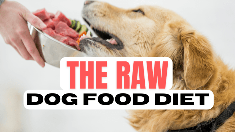 The Dog Raw Food Diet