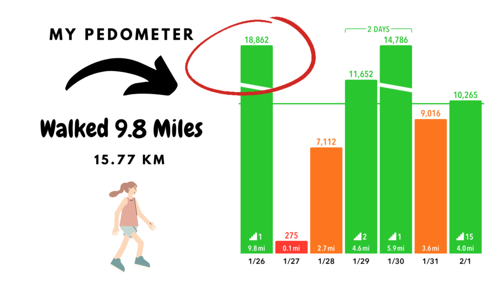 Pedometer