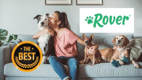 5 Reasons Why Rover is the Best Pet Sitting App - Travel Documented