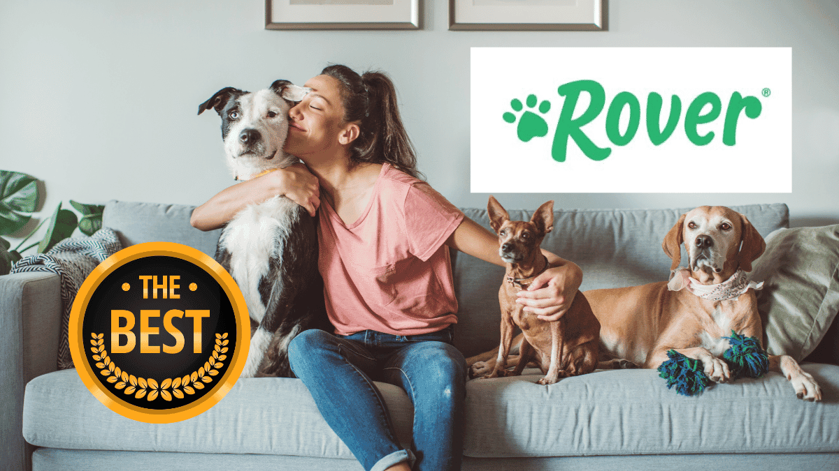 5 Reasons Why Rover Is The Best Pet Sitting App Travel Documented