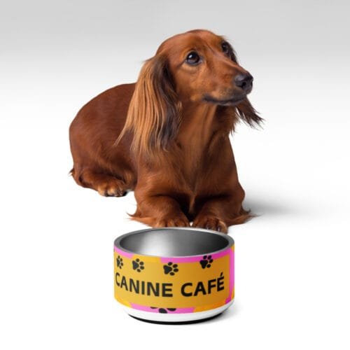 Canine Café Pet Bowl - Image 4