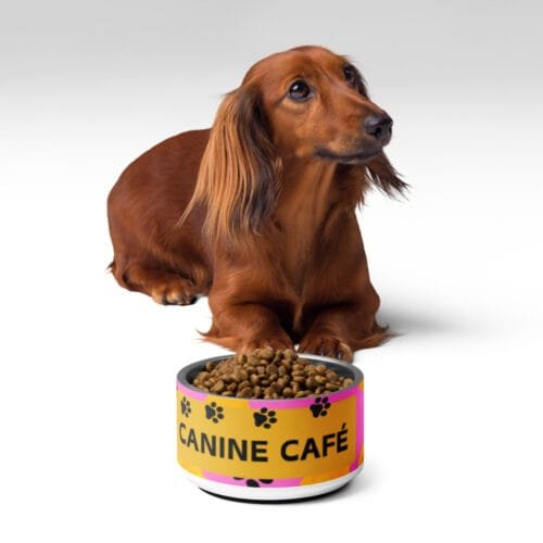 Canine Café Pet Bowl - Image 8