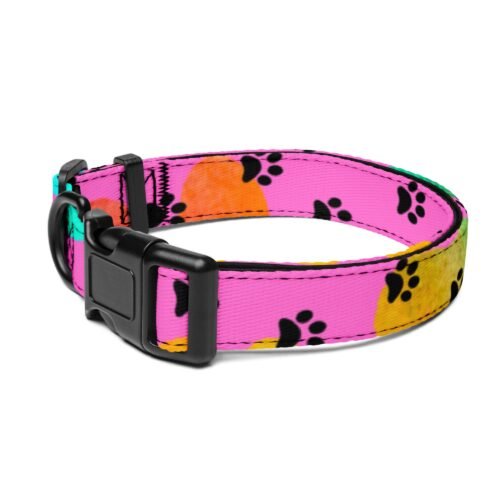 Pet Collar