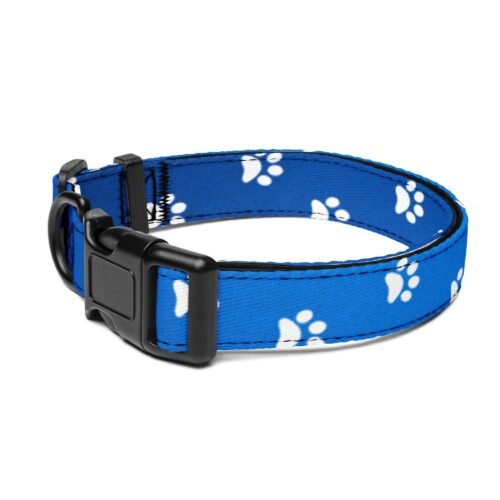 Vibrant Blue Paw Print Dog Collar