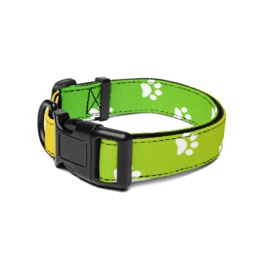 Lively Green & Yellow Paw Print Dog Collar - Image 3