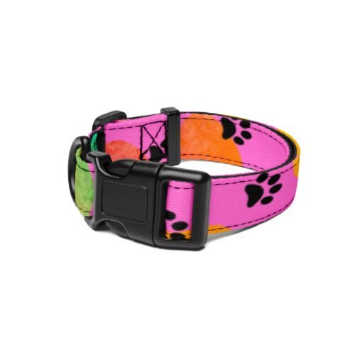 Colorful Paw Print Dog Collar - Image 2