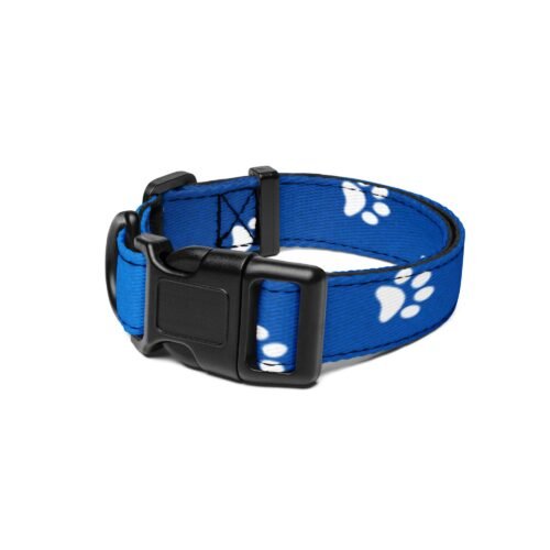 Vibrant Blue Paw Print Dog Collar - Image 2