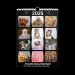 Cute Pets (Dogs and Cats) Wall Calendar (2025)