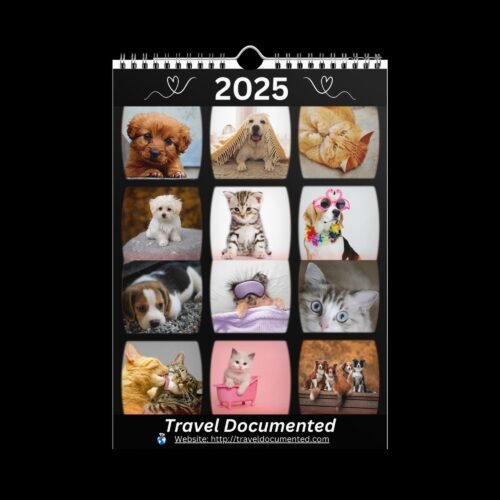 Cute Pets Calender 2025