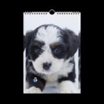 Cute Pets (Dogs and Cats) Wall Calendar (2025) - Image 2