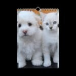 Cute Pets (Dogs and Cats) Wall Calendar (2025) - Image 3