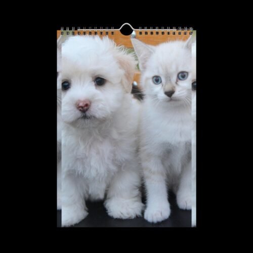 Cute Pets (Dogs and Cats) Wall Calendar (2025) - Image 3