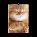 Cute Pets (Dogs and Cats) Wall Calendar (2025) - Image 5