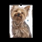 Cute Pets (Dogs and Cats) Wall Calendar (2025) - Image 6