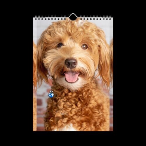 Cute Pets (Dogs and Cats) Wall Calendar (2025) - Image 8