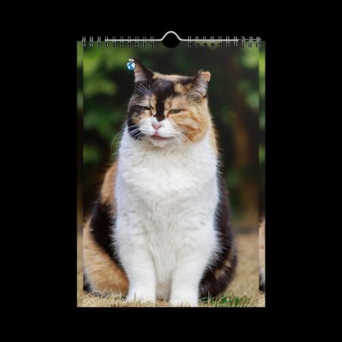 Cute Pets (Dogs and Cats) Wall Calendar (2025) - Image 11