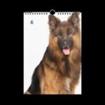 Cute Pets (Dogs and Cats) Wall Calendar (2025) - Image 12