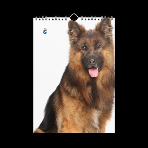 Cute Pets (Dogs and Cats) Wall Calendar (2025) - Image 12