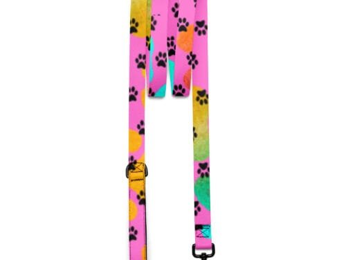 Colorful Pet Leash Rainbow