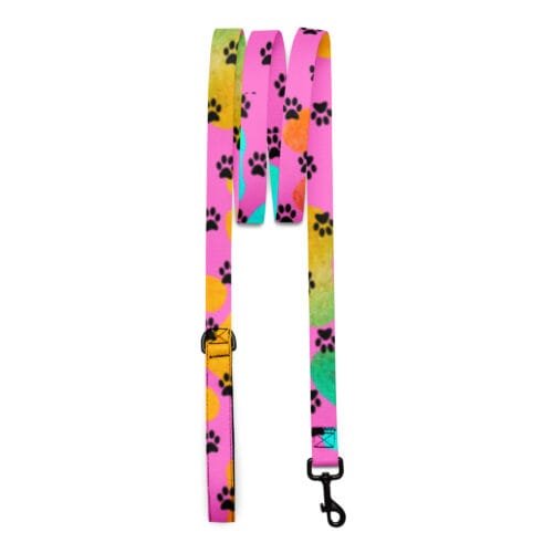 Colorful Pet Leash Rainbow