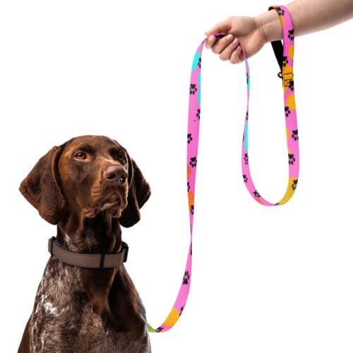 Colorful Pet Leash Pink