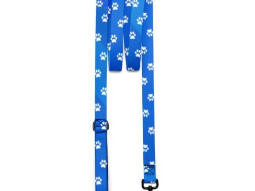 Sleek Blue Dog Pet Leash