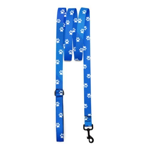 Sleek Blue Dog Pet Leash