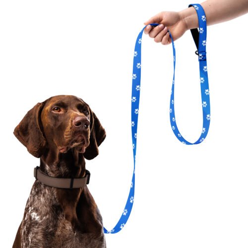 Sleek Blue Dog Pet Leash