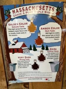 IMG 0795 3 Travel the World. Work Remotely. Care for Amazing Pets.