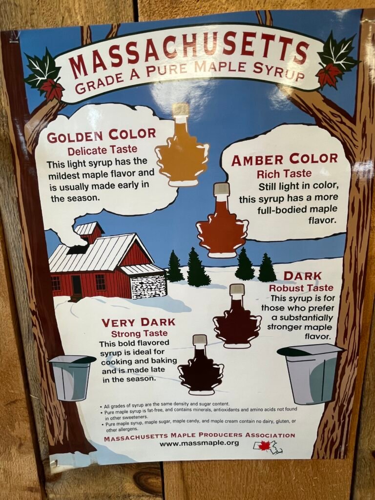 IMG 0795 3 Travel the World. Work Remotely. Care for Amazing Pets.